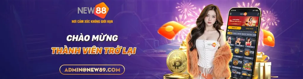 Điều khoản và Điều kiện