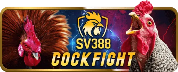 Video slot hiện đại tại ku888 login
